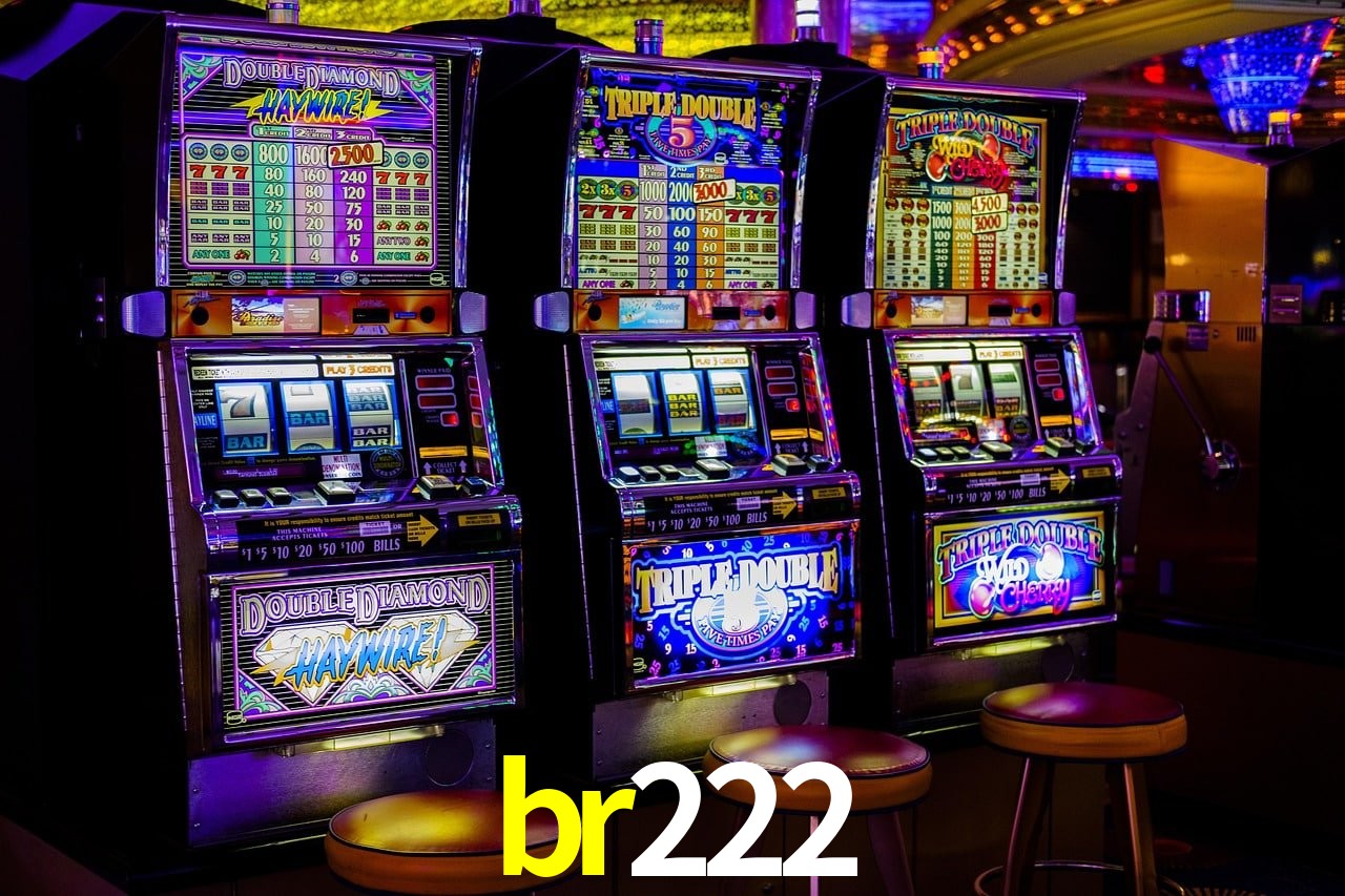 Interface Premium br222